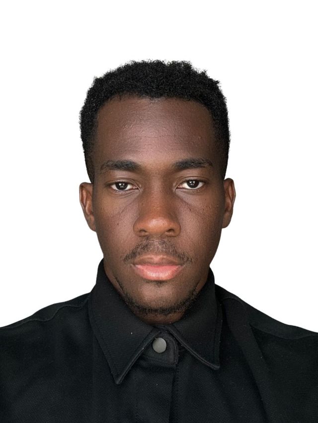 professional portrait business consultant man